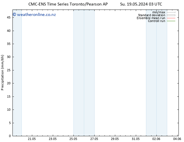 Precipitation CMC TS Mo 20.05.2024 03 UTC