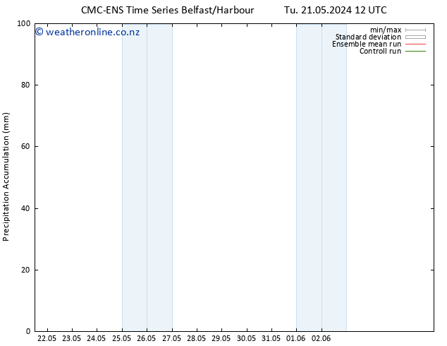 Precipitation accum. CMC TS Tu 21.05.2024 18 UTC