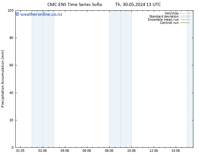 Precipitation accum. CMC TS Th 30.05.2024 13 UTC