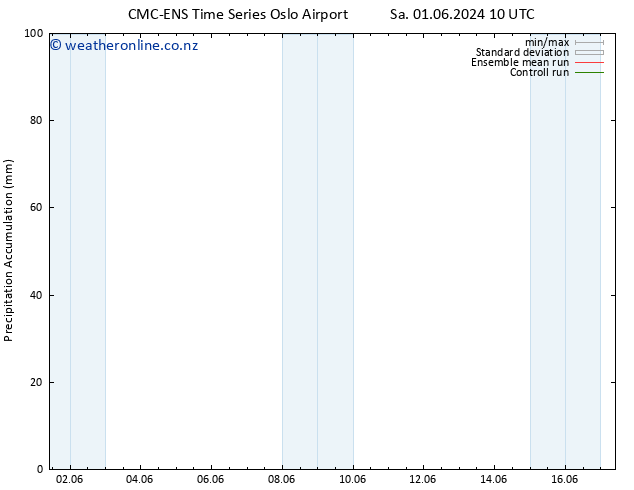 Precipitation accum. CMC TS Su 02.06.2024 16 UTC