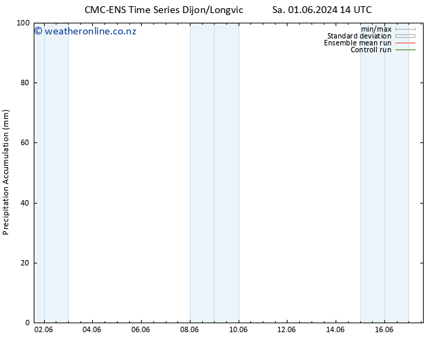 Precipitation accum. CMC TS Sa 01.06.2024 14 UTC