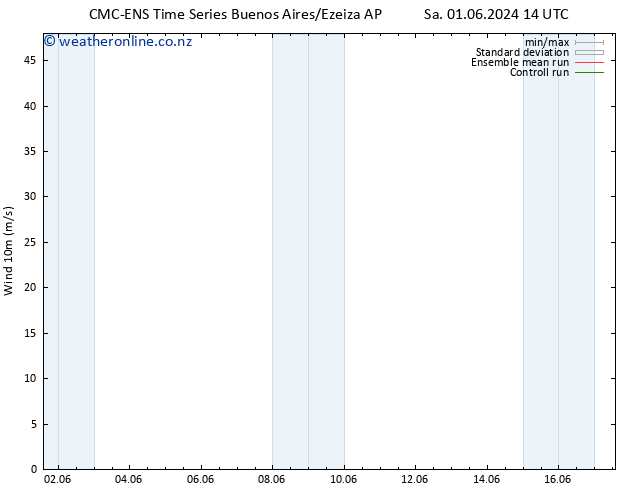 Surface wind CMC TS Th 13.06.2024 20 UTC