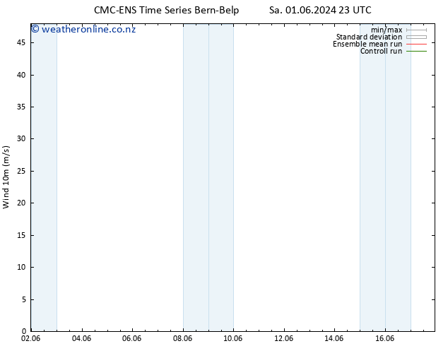 Surface wind CMC TS We 12.06.2024 23 UTC
