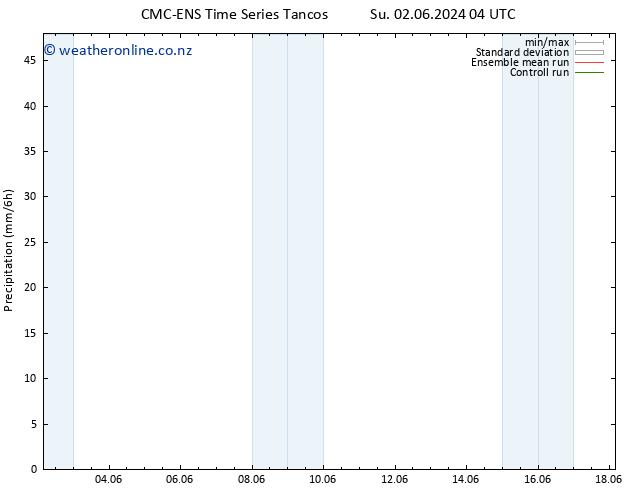 Precipitation CMC TS Su 02.06.2024 10 UTC