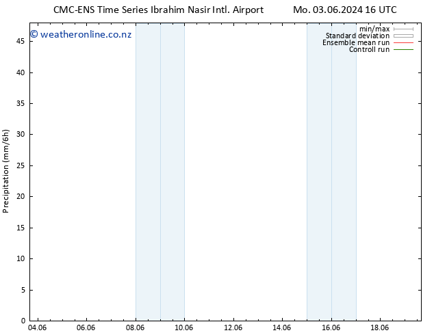 Precipitation CMC TS Mo 03.06.2024 16 UTC