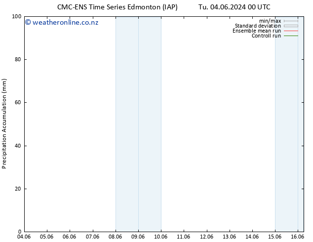 Precipitation accum. CMC TS Th 06.06.2024 12 UTC