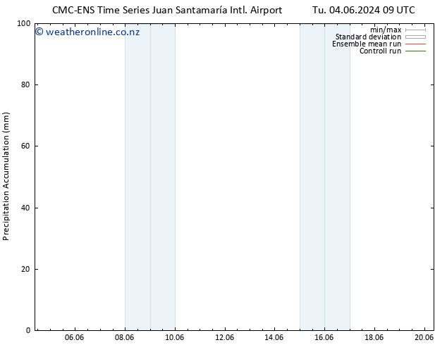Precipitation accum. CMC TS Tu 11.06.2024 15 UTC