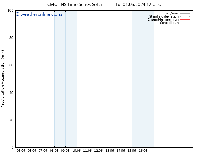 Precipitation accum. CMC TS Tu 04.06.2024 12 UTC