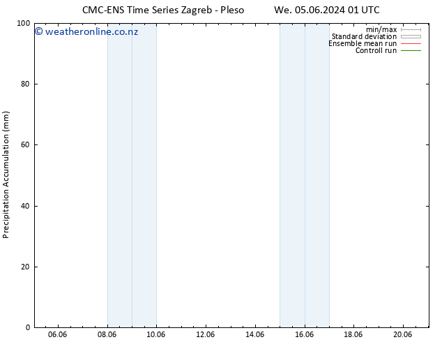 Precipitation accum. CMC TS Th 06.06.2024 13 UTC