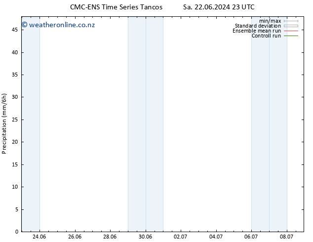 Precipitation CMC TS Mo 24.06.2024 17 UTC