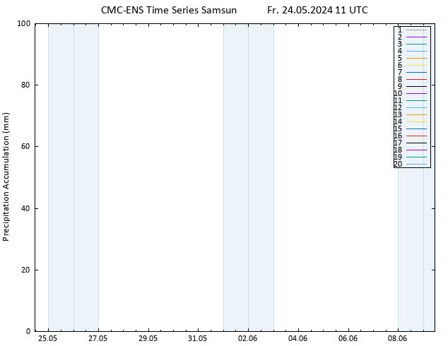 Precipitation accum. CMC TS Fr 24.05.2024 11 UTC