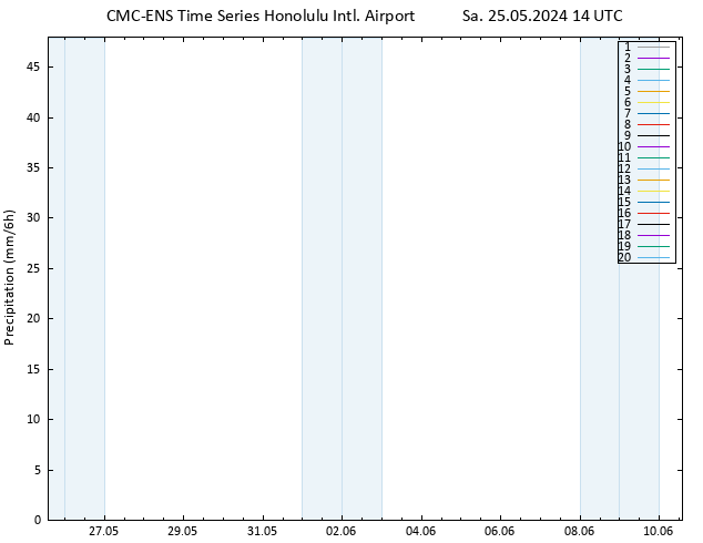 Precipitation CMC TS Sa 25.05.2024 14 UTC