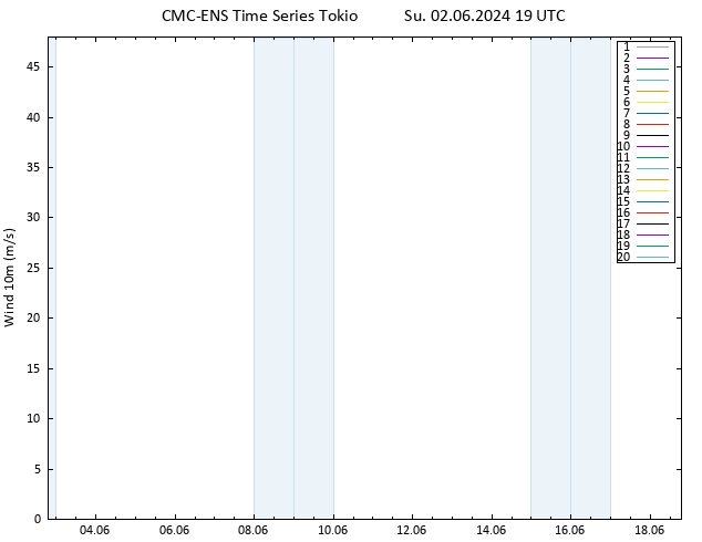 Surface wind CMC TS Su 02.06.2024 19 UTC