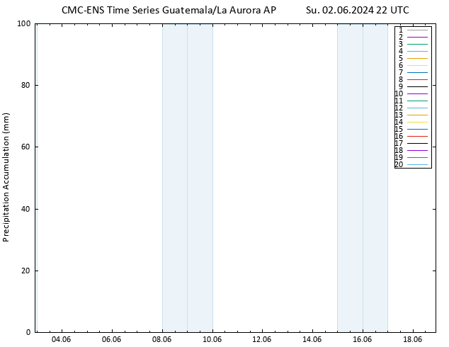 Precipitation accum. CMC TS Su 02.06.2024 22 UTC