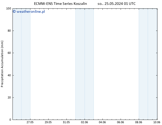 Precipitation accum. ALL TS so. 25.05.2024 07 UTC