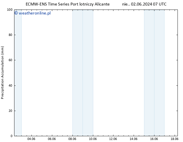 Precipitation accum. ALL TS nie. 09.06.2024 13 UTC