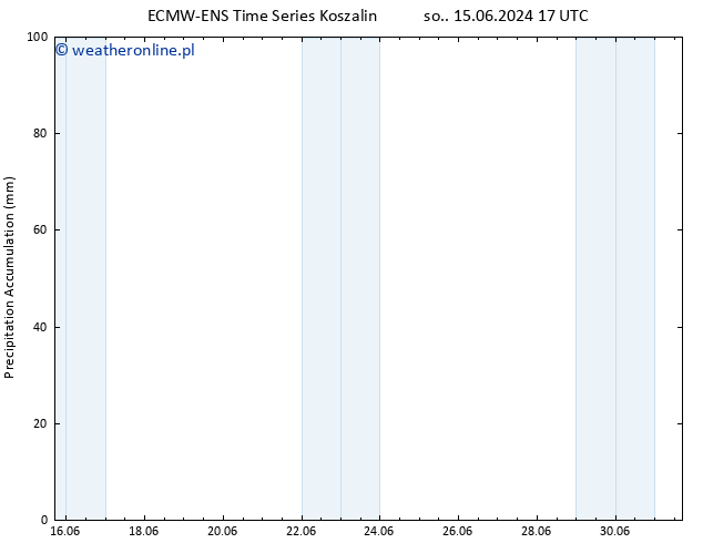 Precipitation accum. ALL TS nie. 16.06.2024 17 UTC