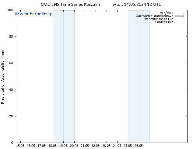 Precipitation accum. CMC TS nie. 19.05.2024 12 UTC