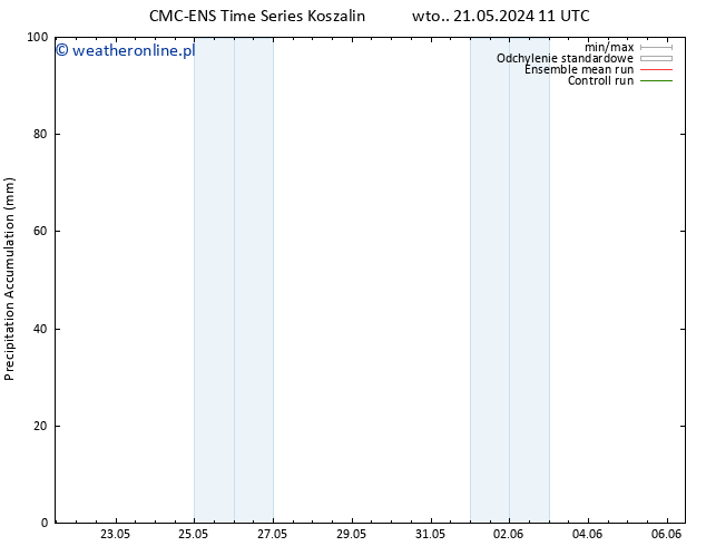 Precipitation accum. CMC TS wto. 21.05.2024 17 UTC