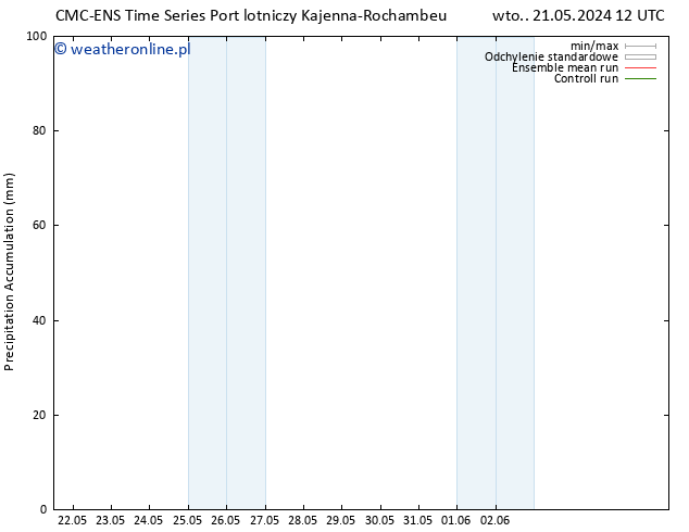 Precipitation accum. CMC TS pt. 24.05.2024 12 UTC
