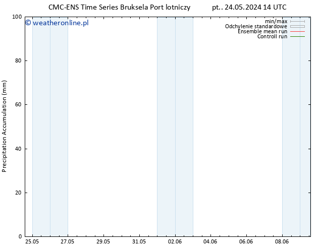 Precipitation accum. CMC TS so. 25.05.2024 08 UTC