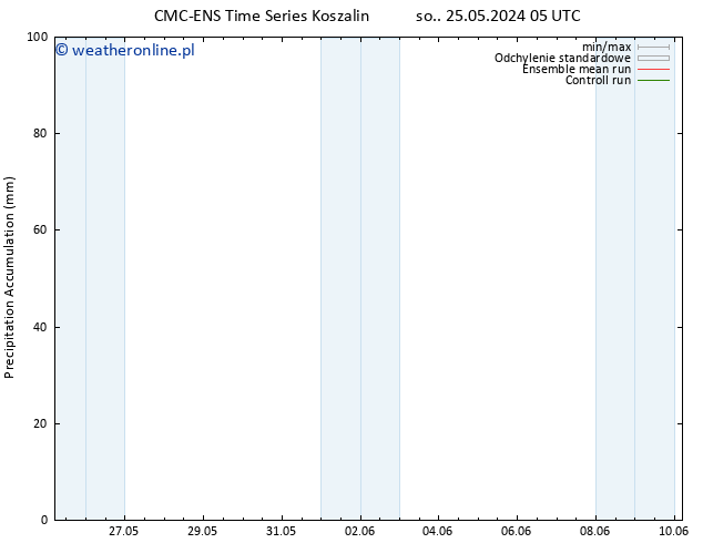 Precipitation accum. CMC TS wto. 04.06.2024 17 UTC