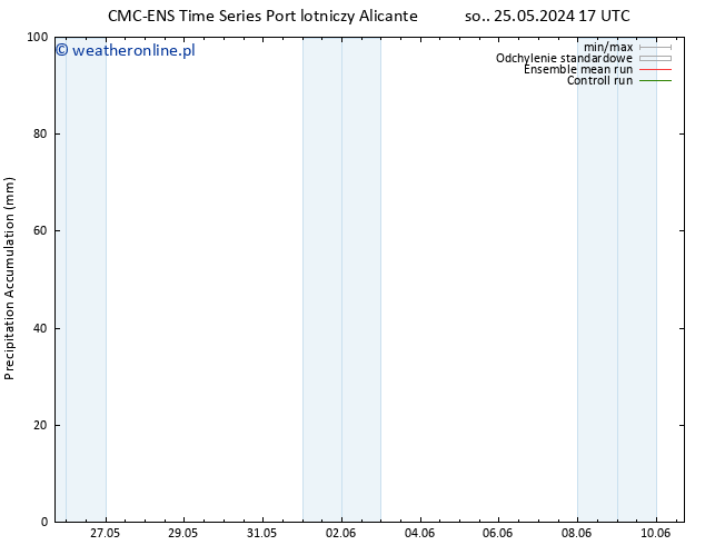 Precipitation accum. CMC TS so. 25.05.2024 23 UTC