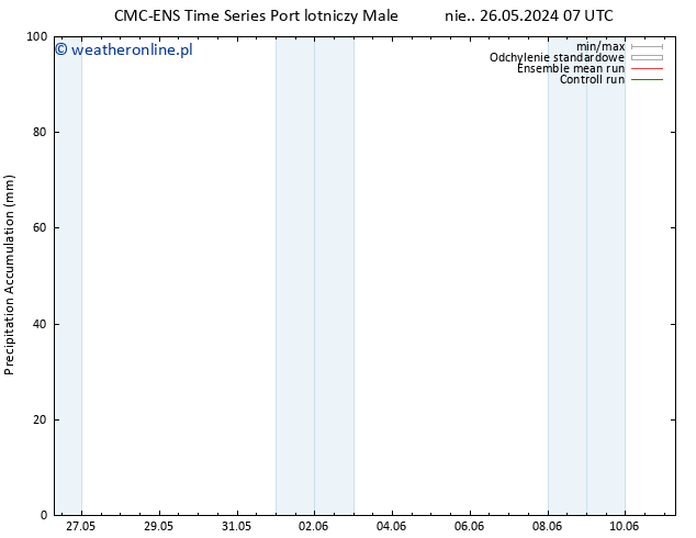 Precipitation accum. CMC TS czw. 30.05.2024 19 UTC