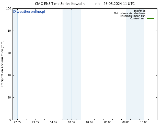 Precipitation accum. CMC TS pon. 27.05.2024 11 UTC