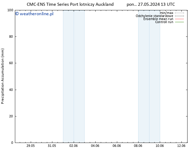 Precipitation accum. CMC TS czw. 30.05.2024 13 UTC