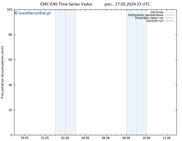 Precipitation accum. CMC TS pon. 03.06.2024 23 UTC