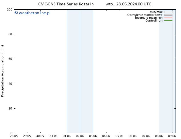 Precipitation accum. CMC TS pt. 07.06.2024 12 UTC