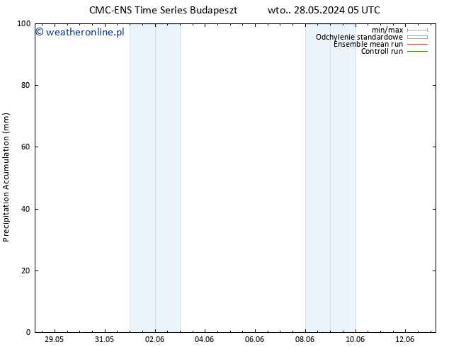 Precipitation accum. CMC TS wto. 04.06.2024 05 UTC