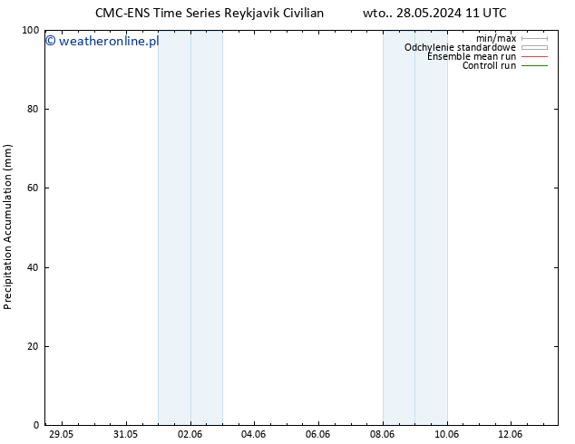 Precipitation accum. CMC TS pt. 31.05.2024 11 UTC