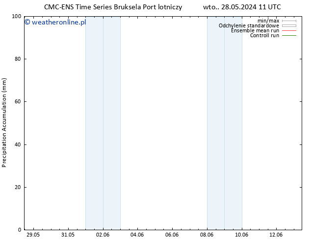 Precipitation accum. CMC TS śro. 29.05.2024 11 UTC