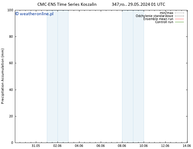 Precipitation accum. CMC TS pt. 31.05.2024 13 UTC