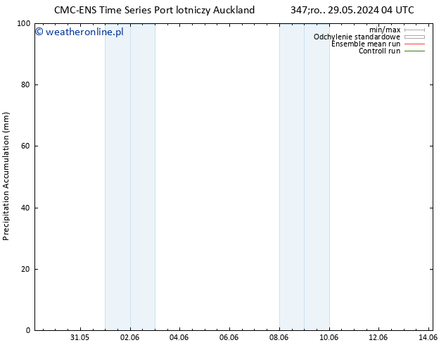 Precipitation accum. CMC TS pt. 31.05.2024 16 UTC