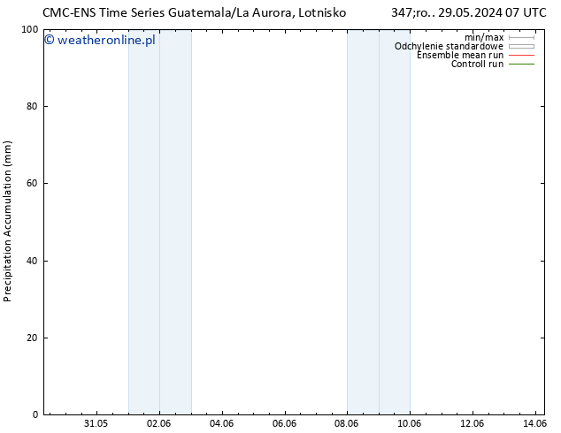 Precipitation accum. CMC TS pon. 10.06.2024 13 UTC