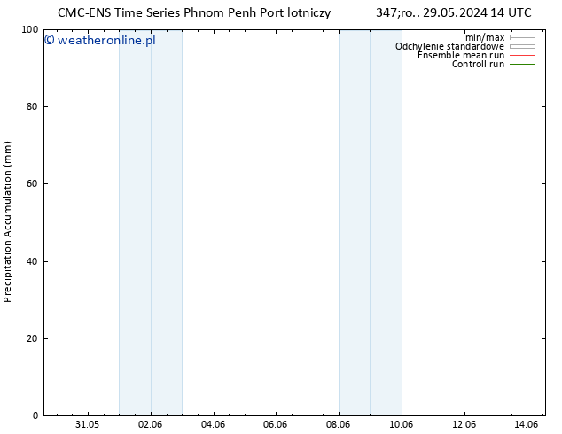 Precipitation accum. CMC TS czw. 30.05.2024 14 UTC