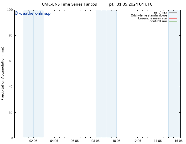 Precipitation accum. CMC TS so. 01.06.2024 04 UTC