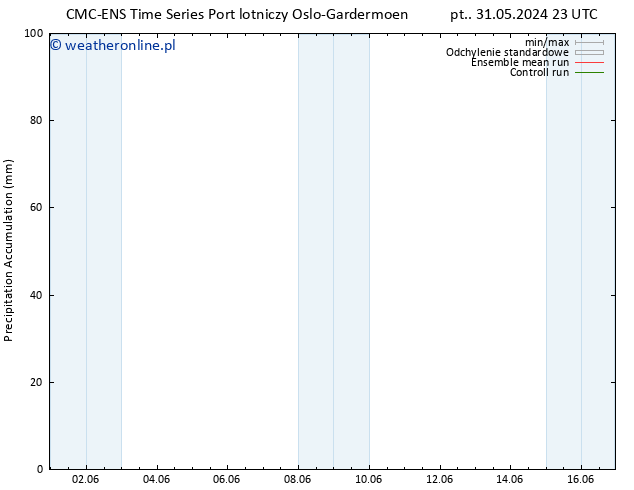 Precipitation accum. CMC TS pon. 03.06.2024 05 UTC