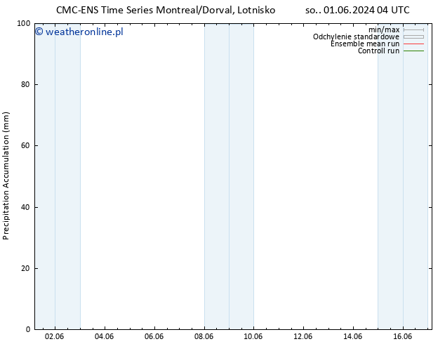 Precipitation accum. CMC TS so. 01.06.2024 04 UTC