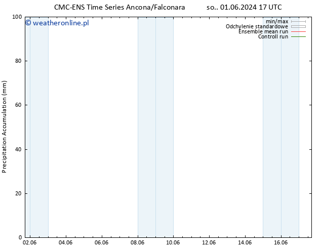 Precipitation accum. CMC TS so. 01.06.2024 17 UTC