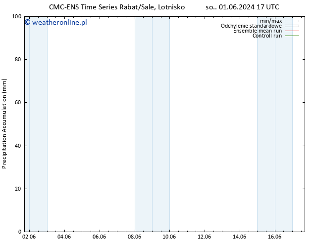 Precipitation accum. CMC TS nie. 09.06.2024 05 UTC