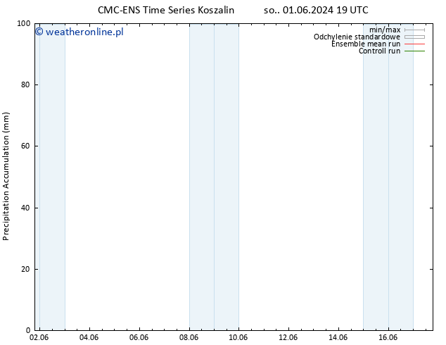 Precipitation accum. CMC TS nie. 02.06.2024 19 UTC