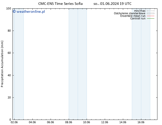 Precipitation accum. CMC TS wto. 04.06.2024 01 UTC