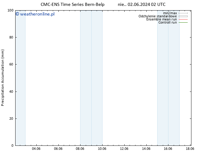 Precipitation accum. CMC TS pon. 03.06.2024 20 UTC