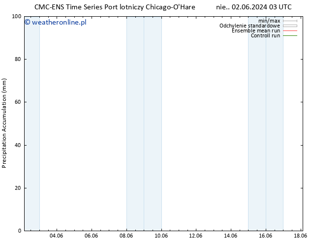 Precipitation accum. CMC TS nie. 02.06.2024 09 UTC