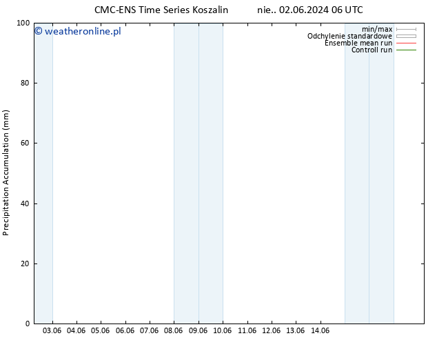 Precipitation accum. CMC TS pt. 14.06.2024 12 UTC