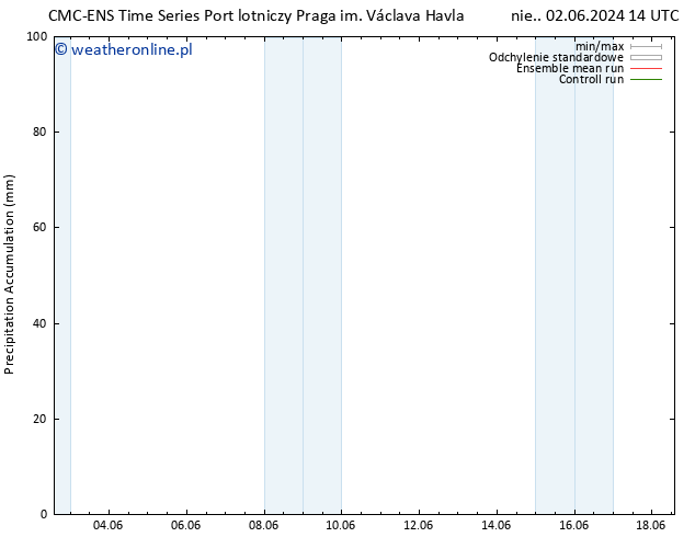 Precipitation accum. CMC TS pon. 03.06.2024 08 UTC